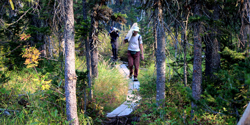 Viking Ridge Work Hike | Caledonia Ramblers