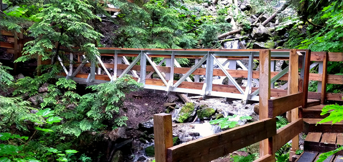 Wooden bridge over stream at ancient forest