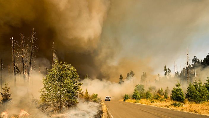 Smoke billowing over forest road as pickup truck tries to out run it